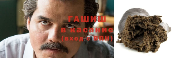 гидра Алексин