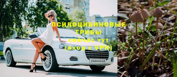 герыч Абаза