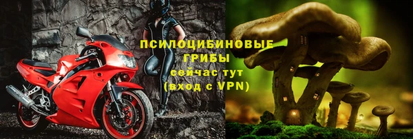 спиды Алзамай