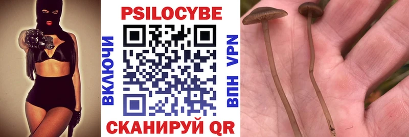 Псилоцибиновые грибы мухоморы Ступино