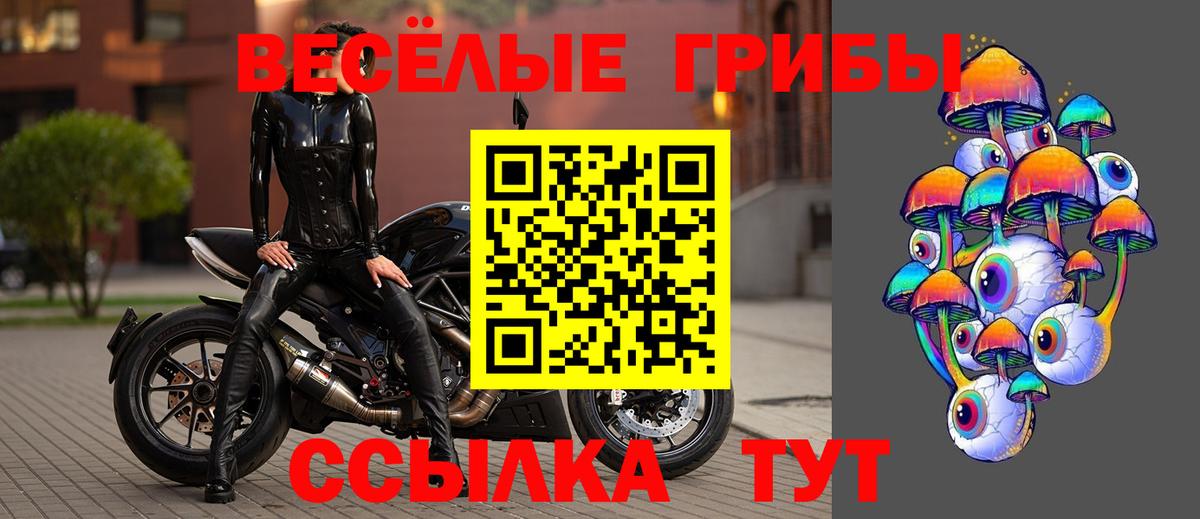 Псилоцибиновые грибы Psilocybe  Псилоцибиновые грибы Cubensis  где купить наркотик  Ступино  Вход с VPN 